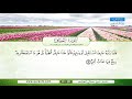 سورة الأحقاف تلاوة مباركة من الآية 21 إلى الآية 28 بصوت القارئ الشيخ صلاح الهاشم سورة الأحقاف تلاوة مباركة من الآية 21 إلى الآية 28 بصوت القارئ الشيخ صلاح الهاشم