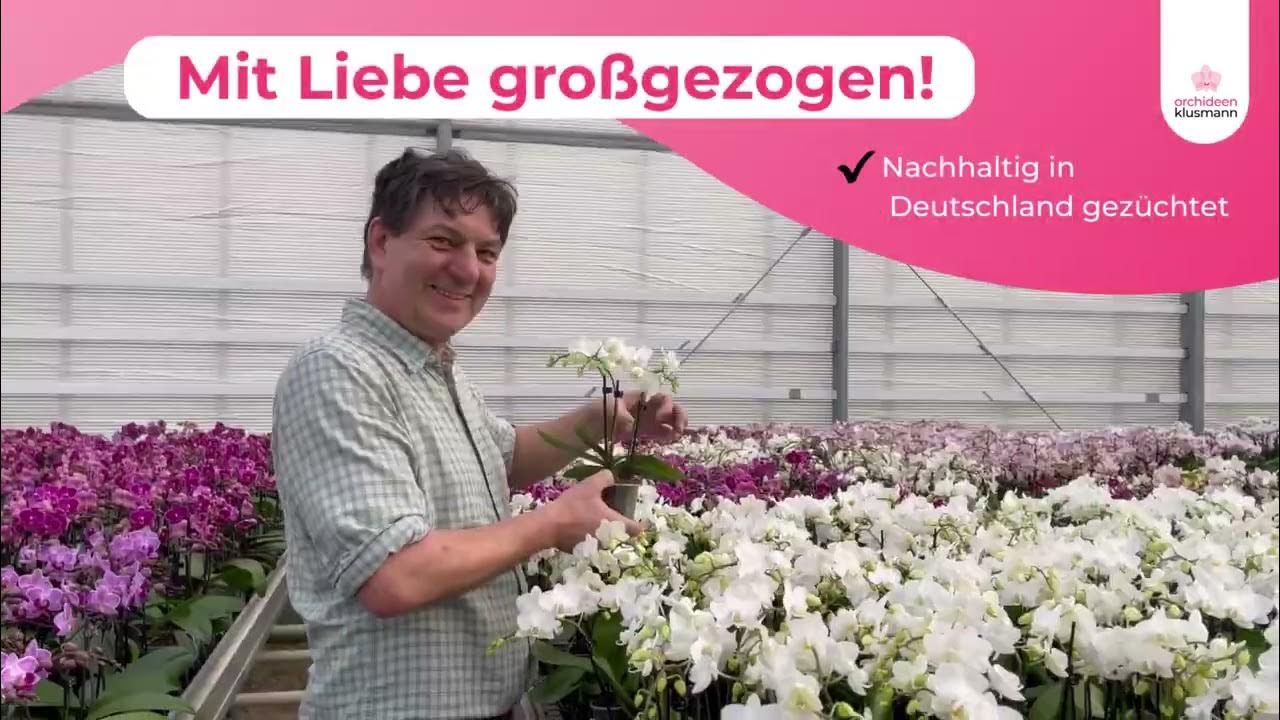 Die schönsten Orchideen für dein Zuhause! - YouTube