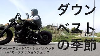 ハーレーダビッドソン　ダウンベスト