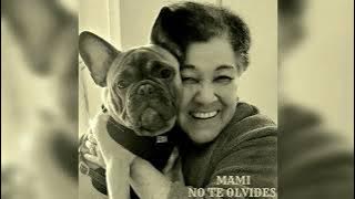 Omar Falcon - Mami, No Te Olvides (Prod. IK-EY)