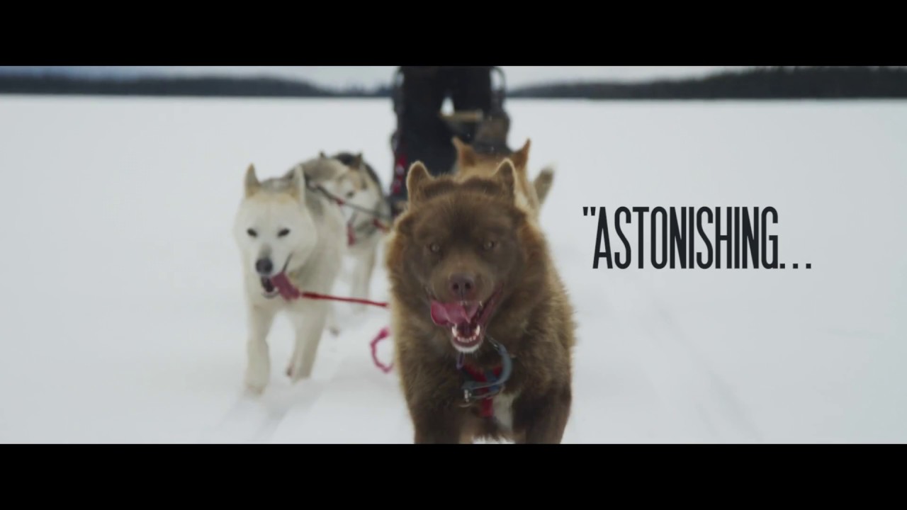 festival of lights KONELĪNE: our land beautiful (trailer)