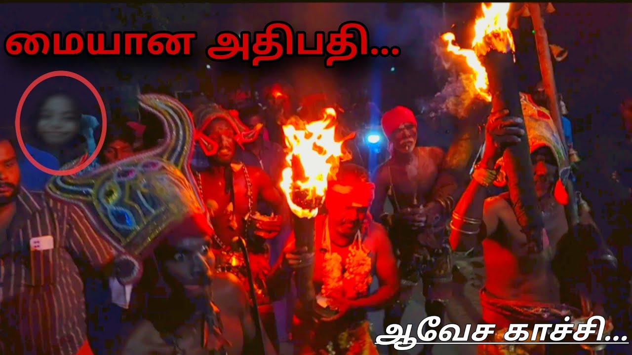 😳 மையான அதிபதி வேட்டைக்கு வரும் போது வீடியோ எடுத்து காச்சி... வீடியோ முழுவதும் பாருங்க🙄 ஆவேச ஆட்டம் 