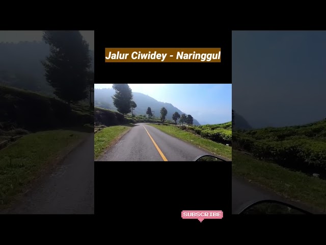 Jalur ciwidey ke Naringgul cianjur Jawa barat #perjalanan#ciwidey#cianjur #motovlog class=