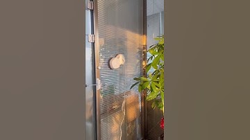 HUTT window cleaner robot