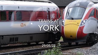 Trains At York (29/05/22)