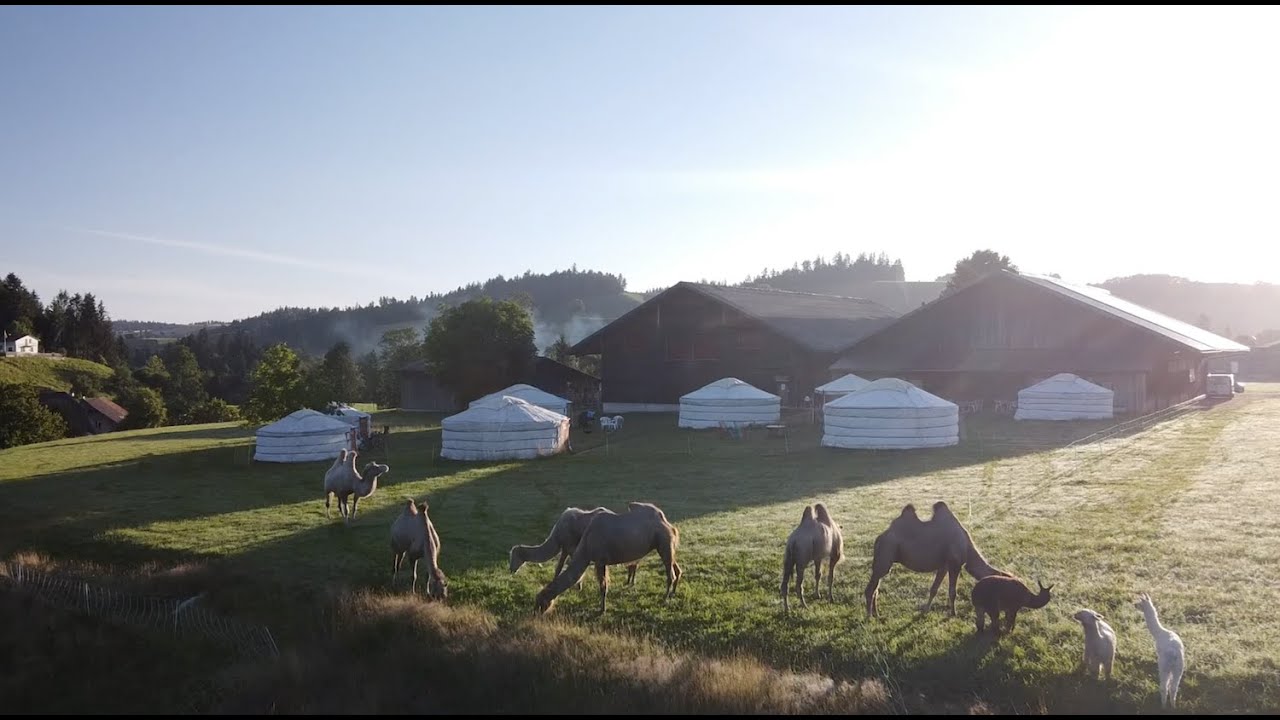 Kamelhof mit Jurtenübernachtungen