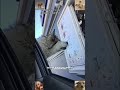 #funnyvideo