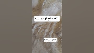#سورة_الكهف #ماهر_المعيقلي #قران_كريم #اكسبلور #راحة_نفسية #اكتب_شي_تؤجر_عليه