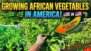 Growing African Vegetables in America - September Garden Tour