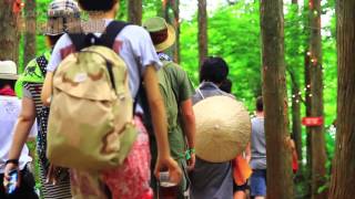 FUji Rock Festival: BOARD WALK