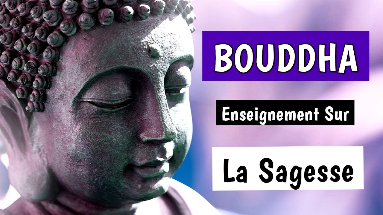 Les 25 Plus Belles Paroles De Bouddha Sur La Sagesse Citations De Bouddha Sur La Sagesse Youtube Les 25 Plus Belles Paroles De Bouddha Sur La Sagesse Citations De Bouddha Sur La Sagesse Youtube