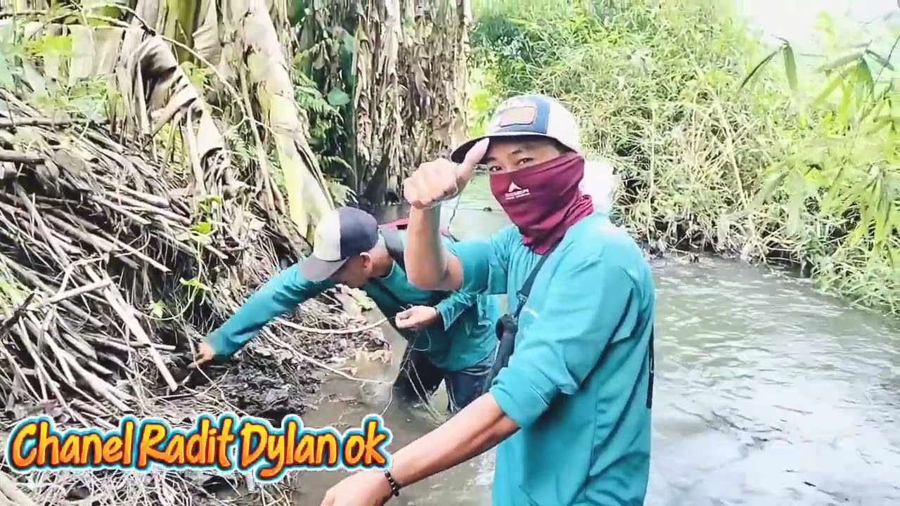 Belutnya pada ganas masbro,apa ini waktunya berbuka ya😁😁😁#larengurekjember 