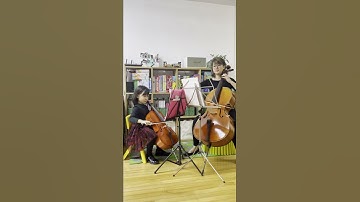 Thumbnail of Silent Night #2cellos#Cello Duet#Laura Cello#