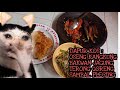 DAPUR KOS : ASMR MASAK OSENG KANGKUNG, BAKWAN JAGUNG, TERONG GORENG , SAMBAL PLECING