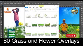 80 𝐆𝐫𝐞𝐞𝐧 𝐆𝐫𝐚𝐬𝐬 𝐎𝐯𝐞𝐫𝐥𝐚𝐲𝐬 in Png | Green Grass Transparent PNG Free Download | #Jana_Computer 80 𝐆𝐫𝐞𝐞𝐧 𝐆𝐫𝐚𝐬𝐬 𝐎𝐯𝐞𝐫𝐥𝐚𝐲𝐬 in Png | Green Grass Transparent PNG Free Download | #Jana_Computer