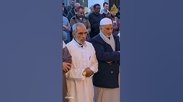 آيات مبكية للقلوب الرقيقة الشيخ تامر الشاذلي #قران_كريم