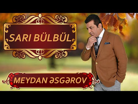 Meydan Esgerov - Sari bulbul (Canli ifa)