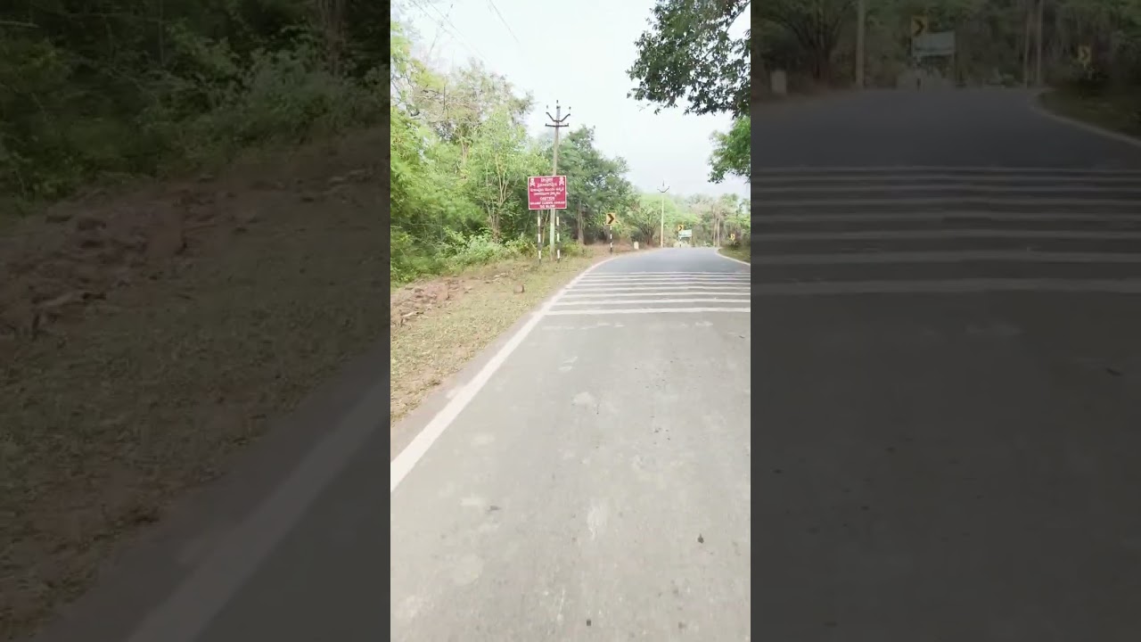 Lower ahobilam to upper ahobilam AP amazing Forest Roads beautiful.