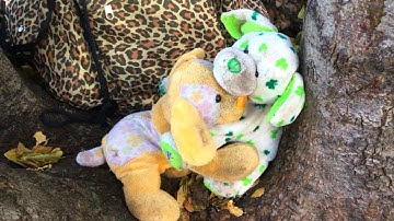 One Foot | Webkinz MEP Part 11