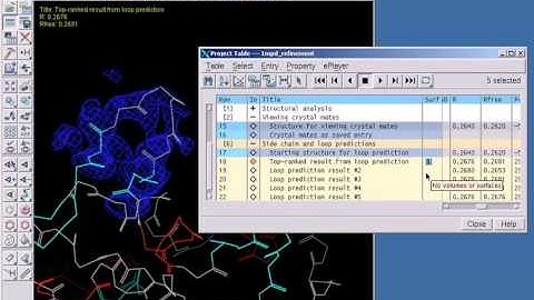 Performing a real-space loop prediction and side chain placement