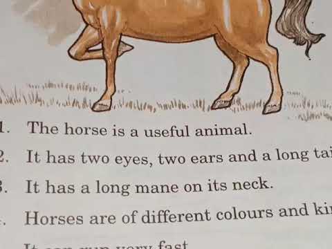 the horse essay for class 1