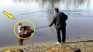 The dog pulled the father into the water. What he saw in the lake was shocking!