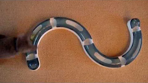 Video 1298441: russian blue cat kitten, russian blue kitten playing, russian blue cat love, sweet russian blue, cat toy kitten