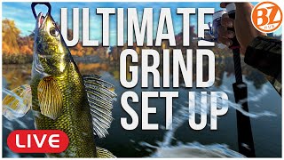 The ULTIMATE lvl 20's Emerald Lake Grind SETUP! l Fishing Planet (LIVE)