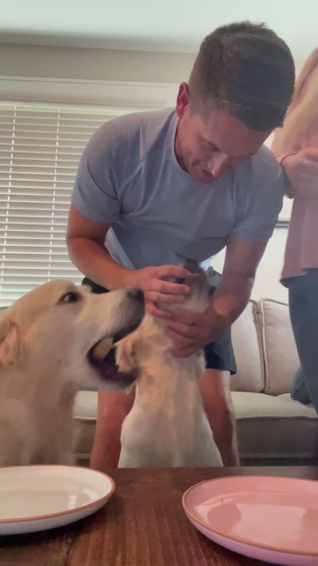 When Your Dogs Want the Gender to Be a Surprise || ViralHog