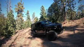Camp Marion & San Emigdio OHV Trails, Frazier Park, CA