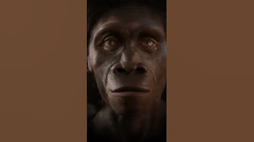 Human Face Evolution - Timelapse #timelapse #shorts #viral #shortsfeed #video #1million #evolution