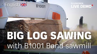 Big log sawing with B1001 Band Sawmill! | LOGOSOL LIVE
Check out the B1001 and more sawmills at: https://www.logosol.com/store/sawmills/
Visit our dealers for price and info!
🇨🇦 Canada: http://www.logosol.ca/store/en/
🇺🇸 USA: http://www.logosol.us/store/
🇪🇸 Spain: https://es.logosol.com/
🇫🇷 France: http://www.logosol.fr/store/
🇩🇪 Germany: https://www.logosol.de/store/
🇬🇧 United Kindom: https://www.logosol.co.uk/store/
🇮🇪 Ireland: https://ie.logosol.com/store/
🇵🇱 Poland: https://pl.logosol.com/store/
🇫🇮 Finland: http://www.logosol.fi/store/
🇳🇴 Norway: https://no.logosol.com/store/
🇸🇪 Sweden: https://www.logosol.se/store/
🇪🇪 Estonia: https://ee.logosol.com/store/
🇨🇿 Czechia: http://cz.logosol.com/
🇭🇺 Hungary: http://www.logosol.hu/
🇸🇮 Slovenia: https://si.logosol.com/
🇷🇺 Russia: http://www.logosol.ru/store/
Not your country? Visit https://www.logosol.com/store/ for your local dealer!
Take the opportunity to ask questions about our sawmills to our knowledgeable sales team directly in the chat and get user tips and advice! Big log sawing with B1001 Band Sawmill! | LOGOSOL LIVE