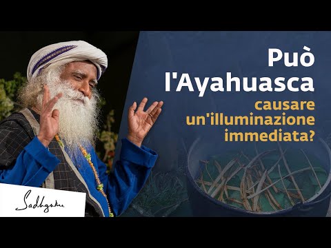 Video: Esperienza Spirituale Tramite Acquario - Matador Network