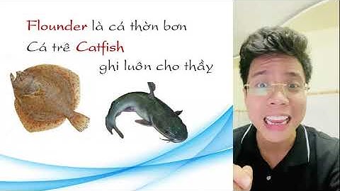 LỤC BÁT CÁ (học tiếng Anh tên loài cá) - Thầy giáo 9x Nguyễn Thái Dương