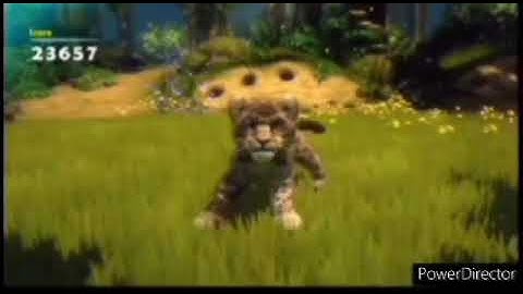 What Did You Think About My Wildest Awesomeness Zoo Tricks?.