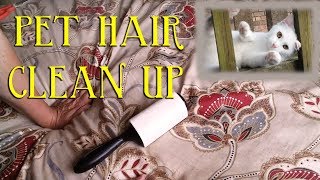 Pet Hair Removal From Fabric and Bonus Cute Kitten Footage!