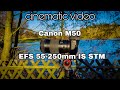 Cinematic video | Paris Park visit | Canon 55-250mm IS STM Lens review 2022 | Canon Eos M50 |