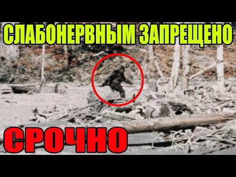 КОГДА ЭТО ПОПАЛО В КАМЕРУ ВСЕ НАЧАЛИ БЕЖАТЬ С ЭТОГО МЕСТА!!! 19.01.2022!!! СПЕЦВЫПУСК!!!