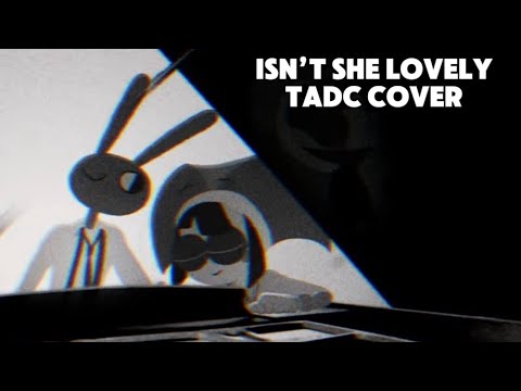 Isn’t she lovely | Tadc song cover