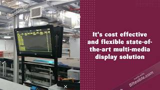 Flight and Baggage Display System (FIDS/BIDS)