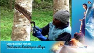 Pekebun Kecil Getah RISDA Terima Bantuan RM600