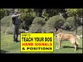 How to Teach Hand Signals and Positions to Your Dog - Dog Training Video