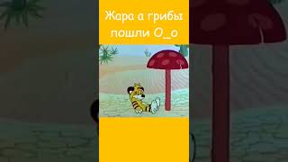 Жара а грибы пошли О_о #shorts