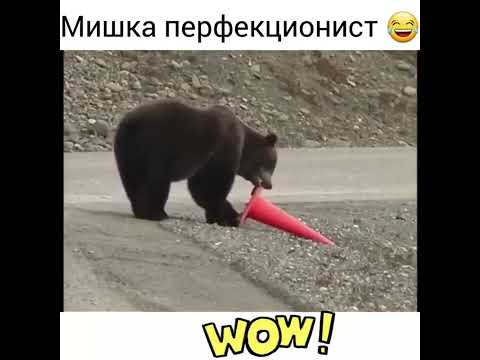 #юмор #шуточное #прикол
