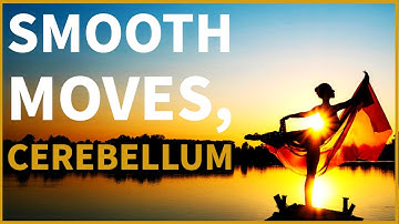 How The Cerebellum Controls Movement