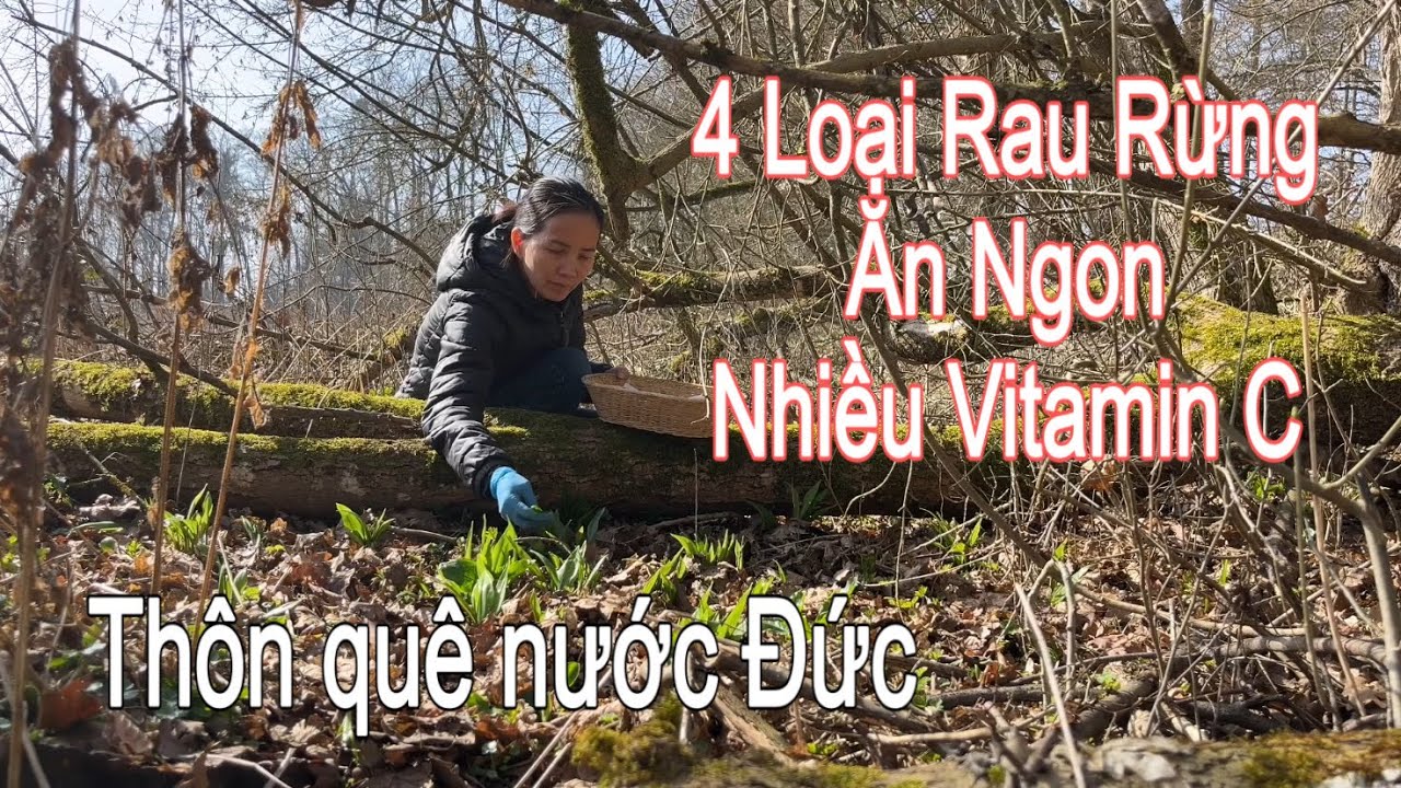 Đi hái rau rừng nấu canh, 4 loại rau tự mọc ăn ngon | Người Việt ở Đức | Cuộc sống nông thôn ở Đức