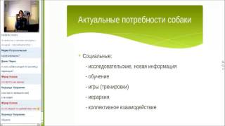 Актуальные потребности собак Актуальные потребности собак