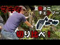 【マキタ互換】ミニチェーンソー バッテリー変えて切り比べ！