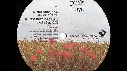 Pink Floyd - The Hero