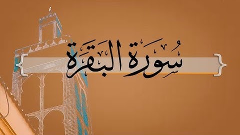 { سورة البقرة } من الآيه 165 إلى الآيه 167 | ماجد الزامل .